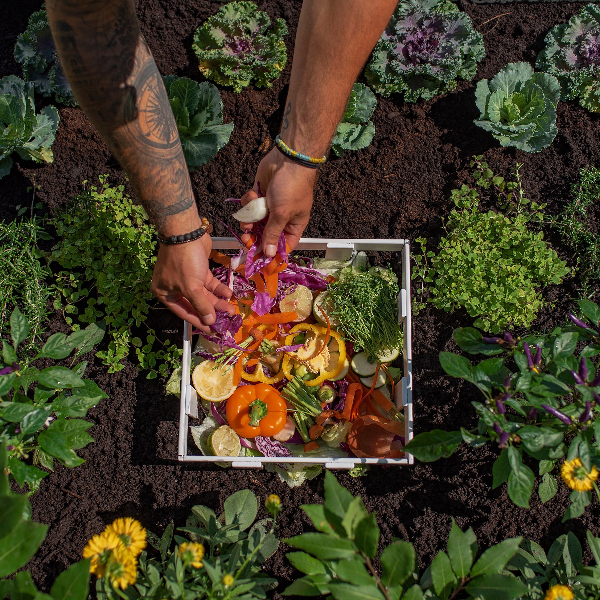 Vita Keyhole 4' X 4' Composting Garden Bed