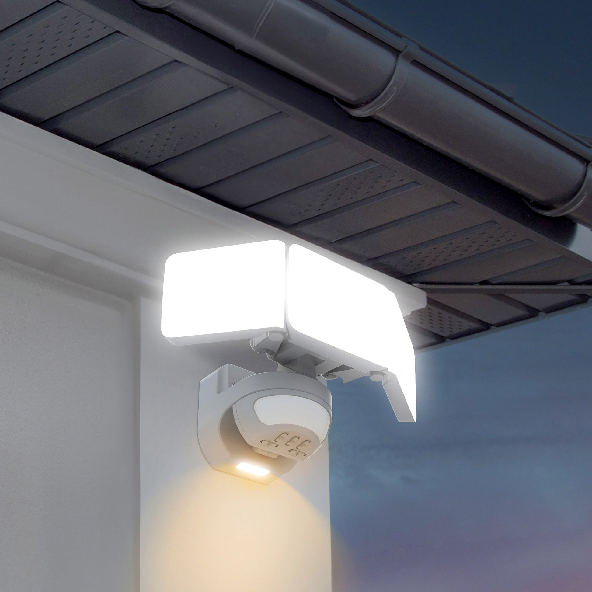 LED Motion Security Light